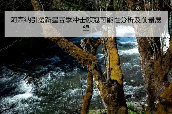 阿森纳引援新星赛季冲击欧冠可能性分析及前景展望